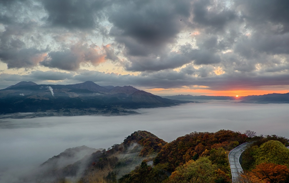 建設業許可などの許認可申請も承ります。