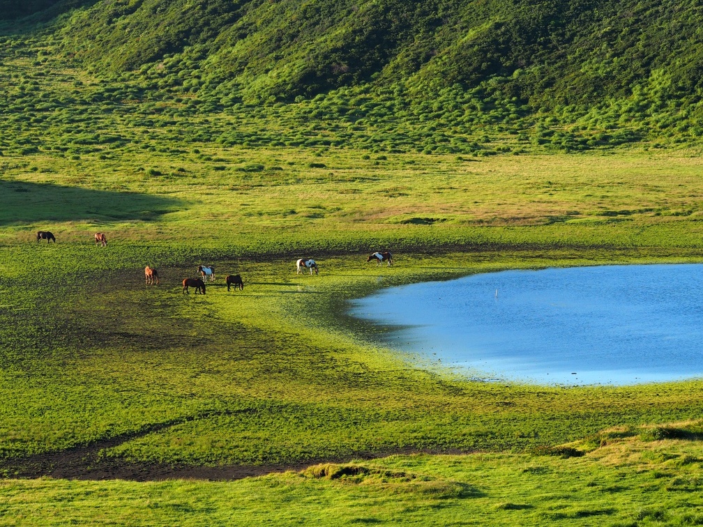 どうぞ、お気軽にご相談ください。